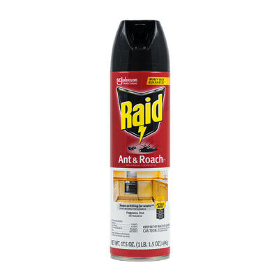 insect killer 17.5oz ant r -- 12 per case