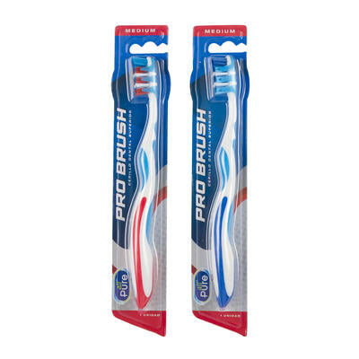 all pure adult toothbrushes - bulk -- 48 per case