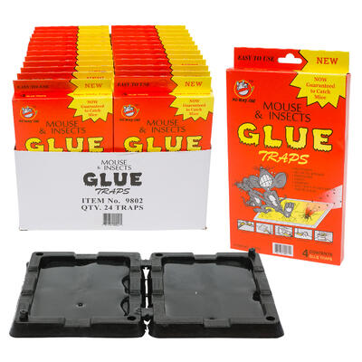 small rat & mouse glue traps - 2 pack -- 24 per box