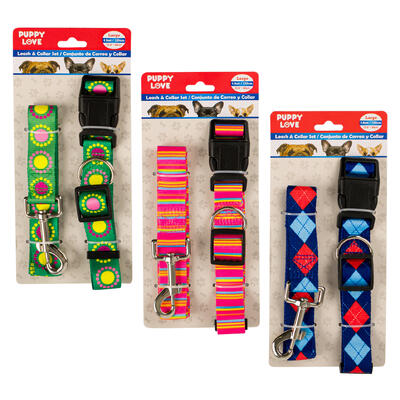 dog collar w leash- large- assorted colors -- 48 per case