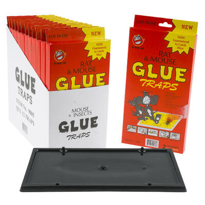 rat & mouse glue traps - home & garden -- 12 per box