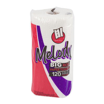 melody 120ct 2 ply paper towels -- 24 per case