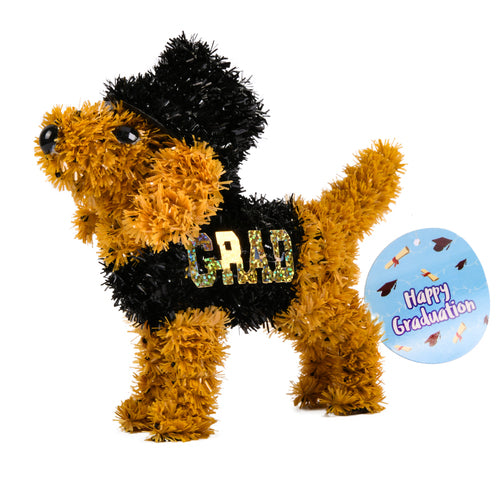 hg graduation table deco puppy -- 24 per case