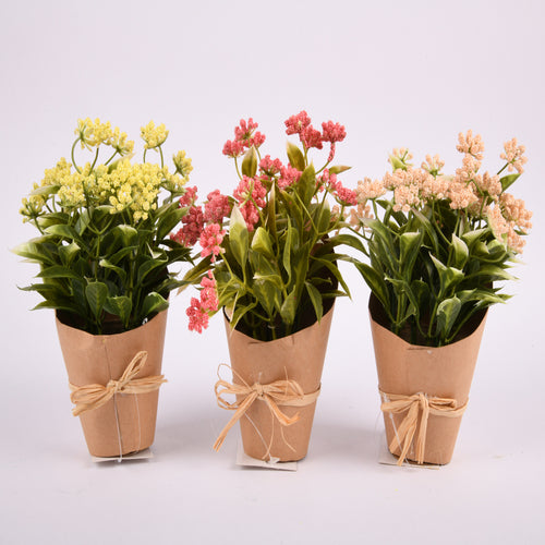 flower plant in plastic pot 4 color -- 12 per box