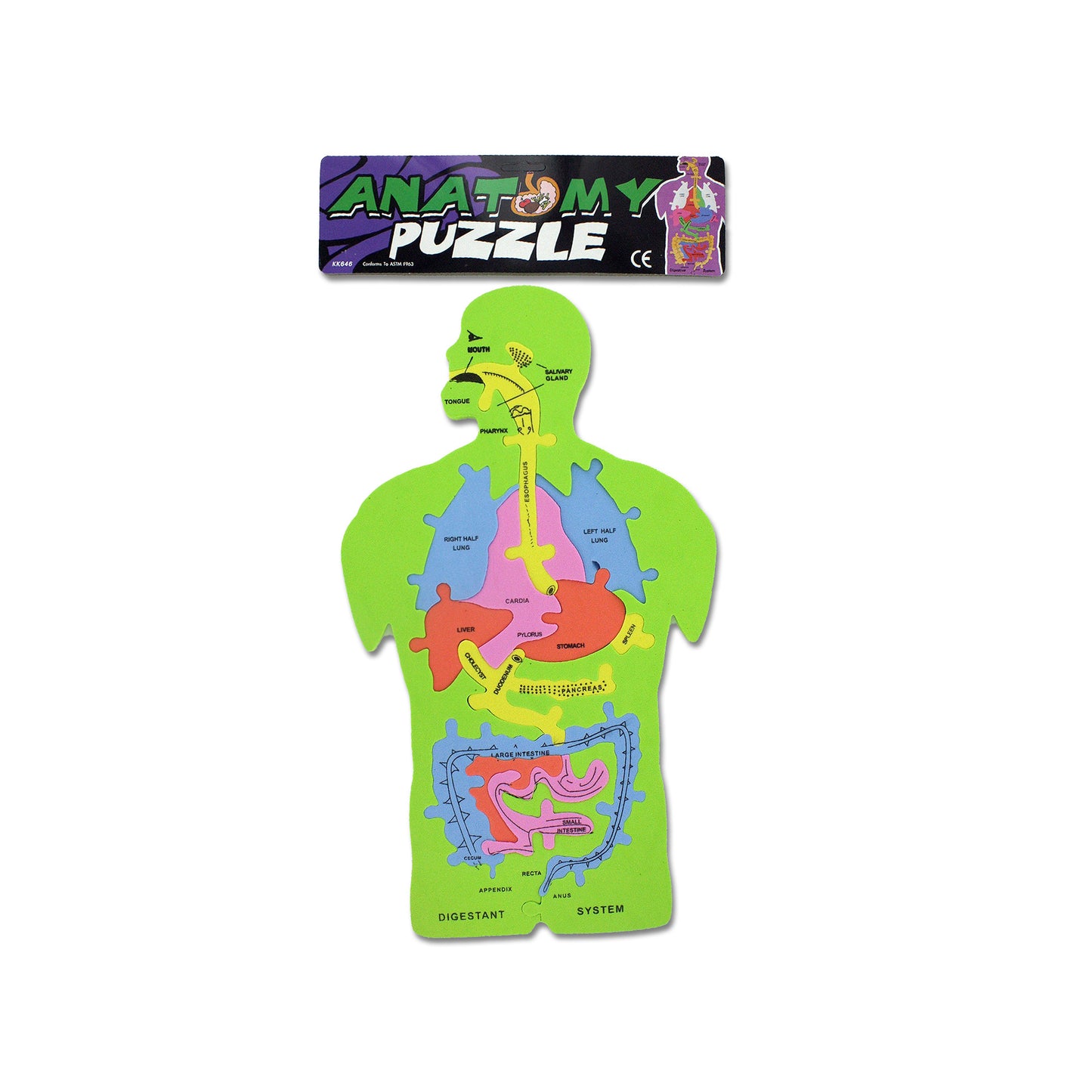foam anatomy puzzle - educational toy - 144 pieces per case -- 27 per box
