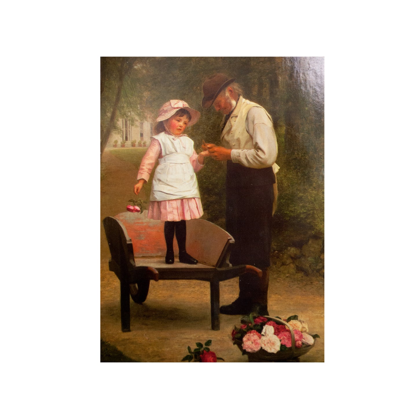 art greeting cards - -- 167 per box