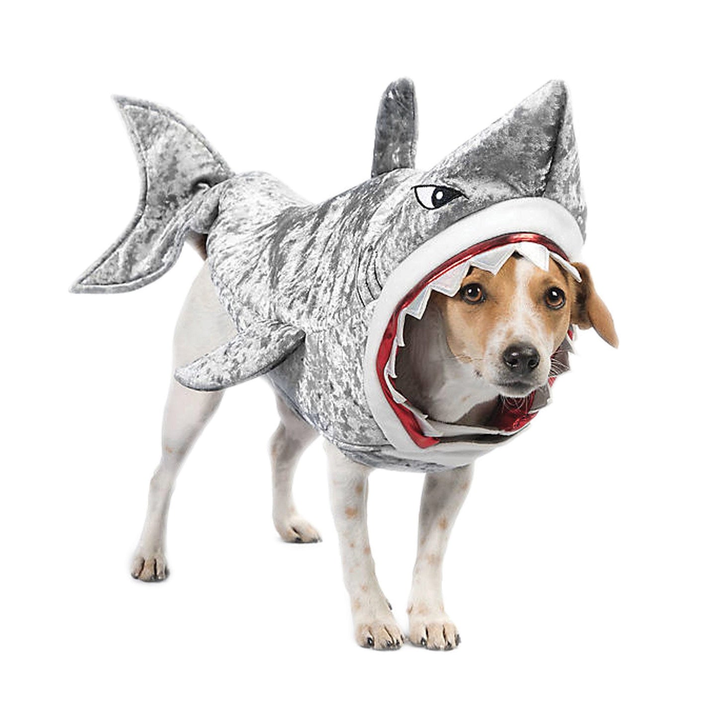 shark pet costume - -- 3 per box