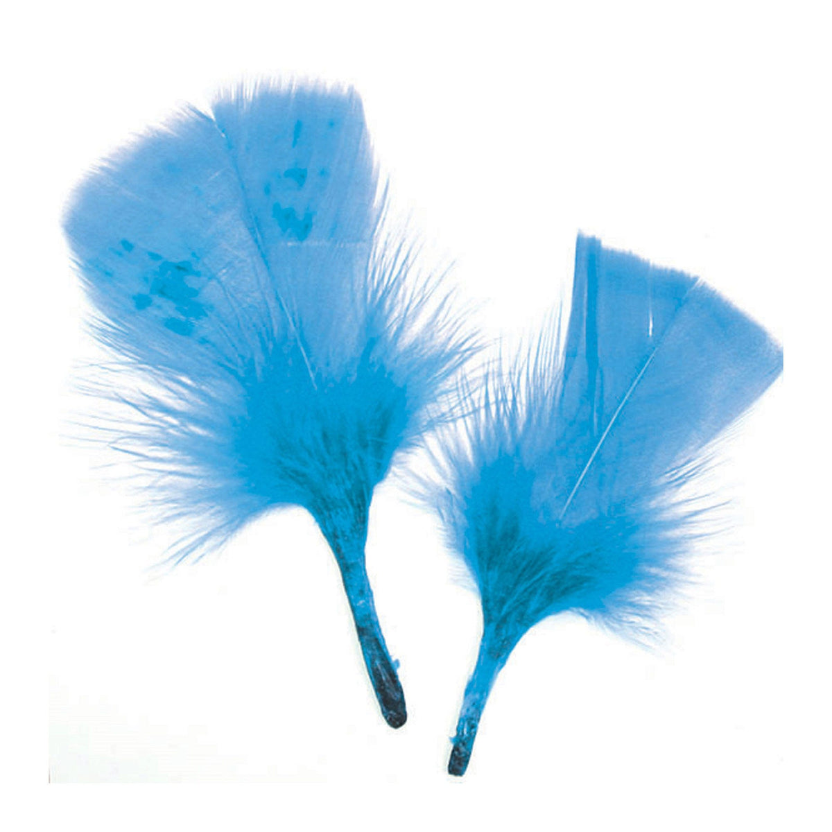 light blue craft feathers - -- 56 per box