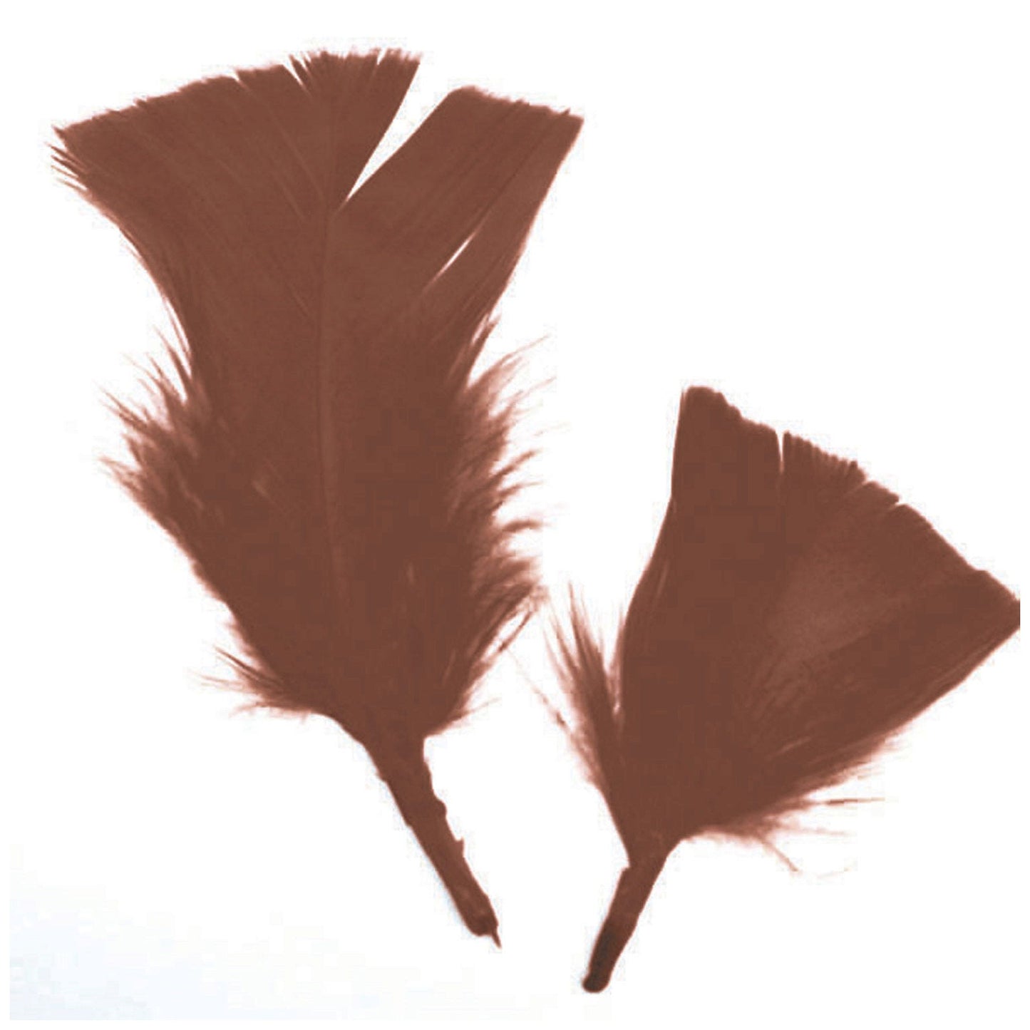 brown craft feathers - bulk -- 56 per box