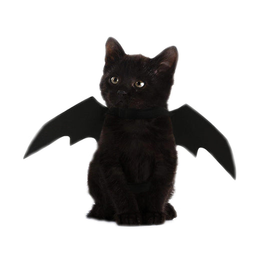 halloween pet costumes - black bat -- 3 per box