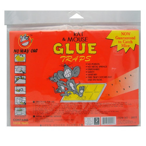 rat mouse glue traps 2pk flat -- 12 per box