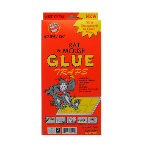 rat mouse glue traps 2pk lg -- 12 per box