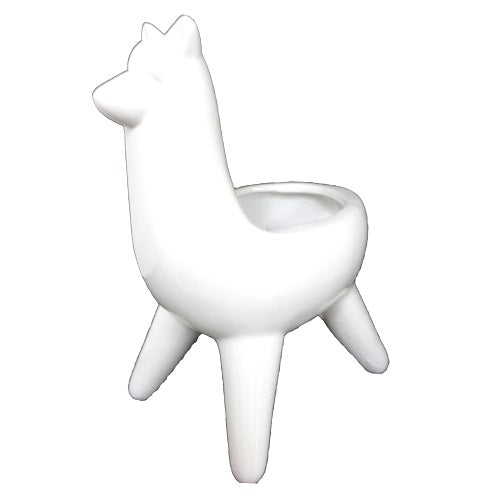 canels gum fruity 4pc 20ct asst -- 12 per box