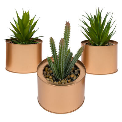 succulent and cactus artificial plant- 6 - 3 assor -- 12 per case