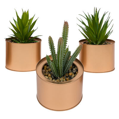 succulent and cactus artificial plant- 6 - 3 assor -- 12 per case