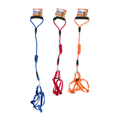 dog leashes - 3 assorted colors -  -- 48 per case