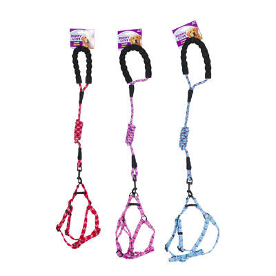 dog leashes - 3 assorted colors -  -- 48 per case