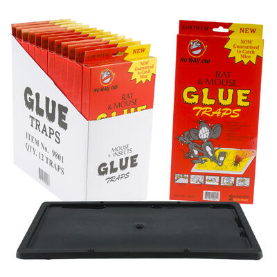rat & mouse glue traps - 2 pack - home & garden -- 12 per box