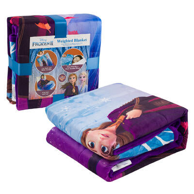 disney frozen 2 weighted blanket -- 2 per case