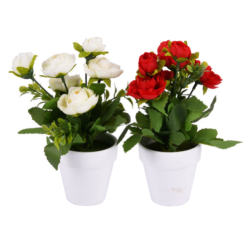 flower plant in ceramic pot21cm w asst colors -- 9 per box