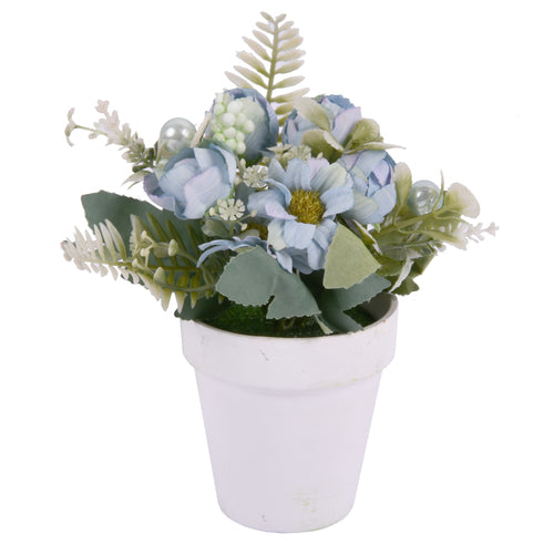 flower plant in ceramic pot 18cm w asst colors -- 9 per box