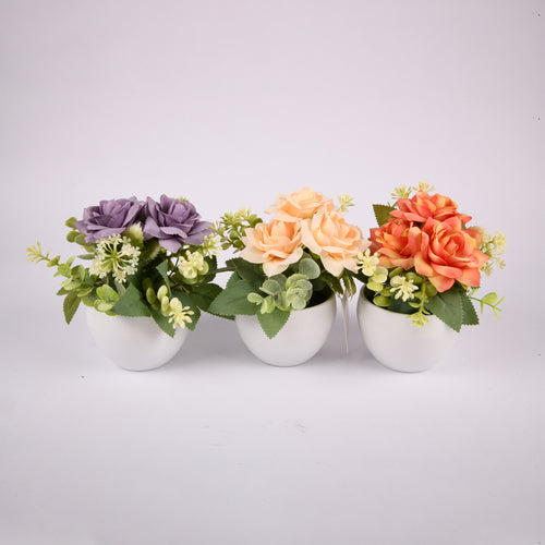 flower plant in white plastic pot 4 color -- 12 per box