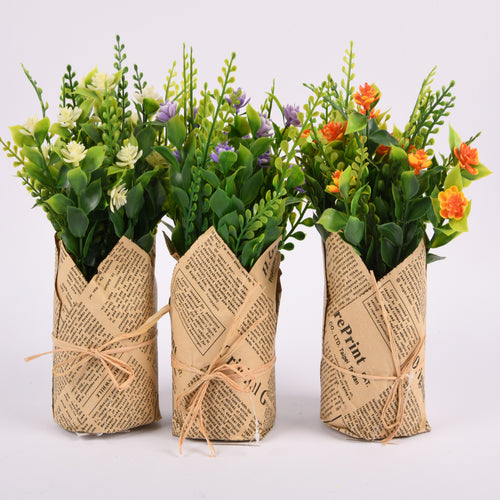 flower plant in plastic pot 2 color -- 12 per box