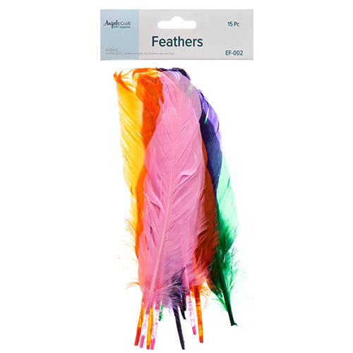 angels craft feathers assorted colors  -- 12 per box