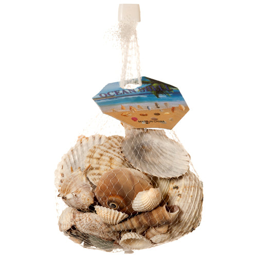 seashells mix -  -- 48 per case