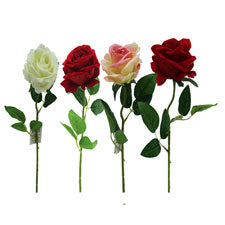 af rose velvet - 51cm diameter - 10cm mix of 4 colors -- 48 per case