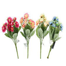 chrysanthemums - assorted colors and sizes - aa pack -- 12 per box