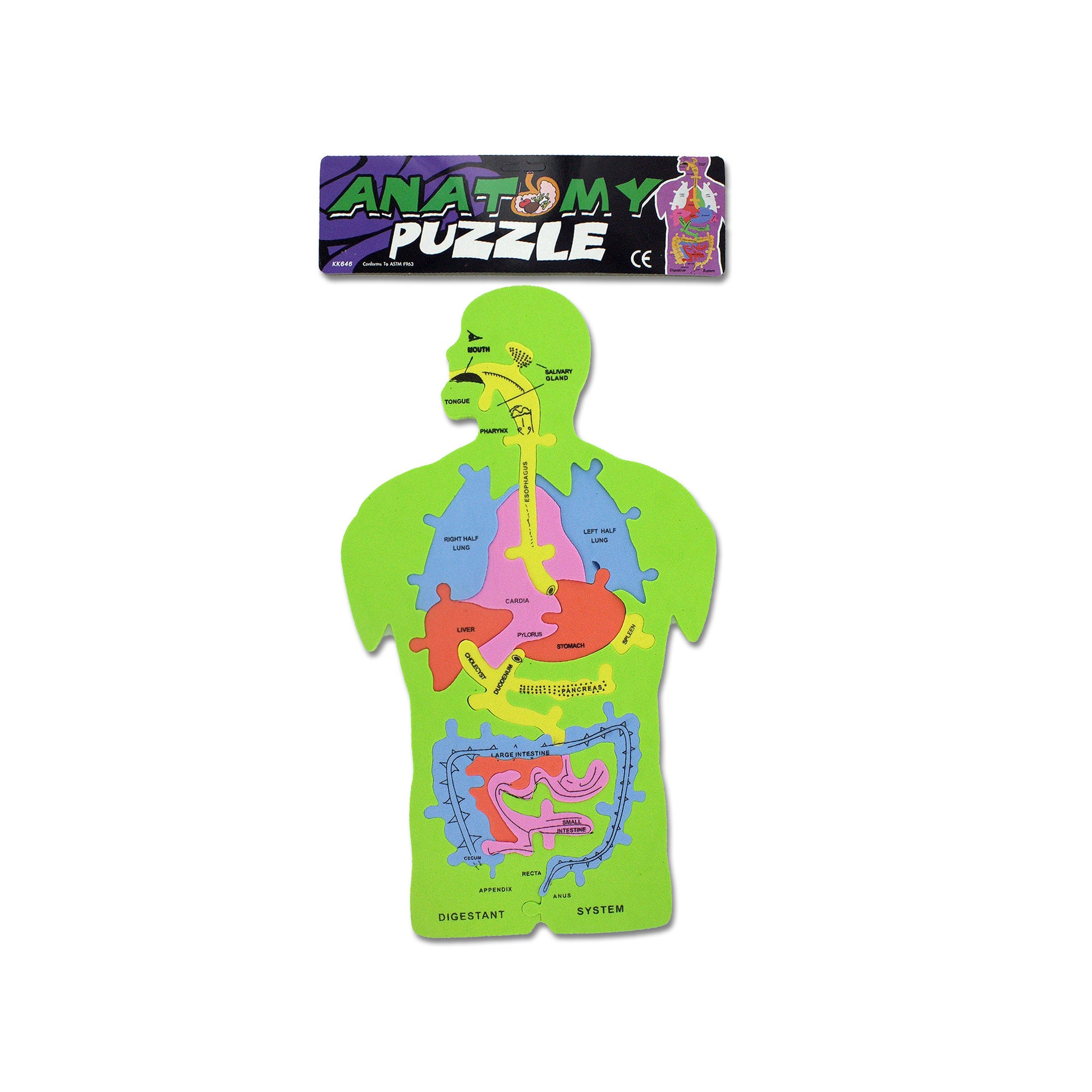 foam anatomy puzzle - educational toy - 144 pieces per case -- 27 per box
