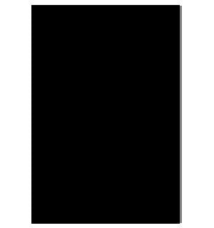 foam board 20 x 30in black -- 25 per case
