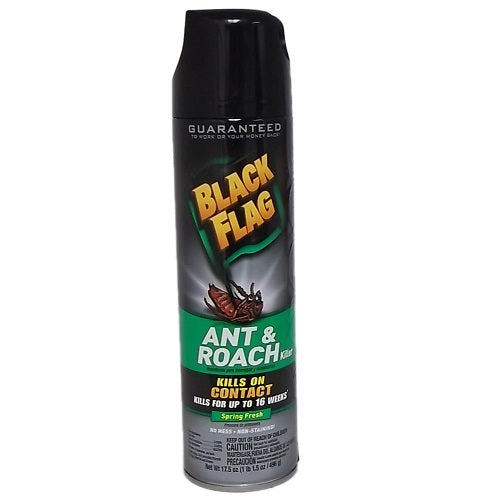 black flag ant roach killer 17.5oz spr -- 12 per case