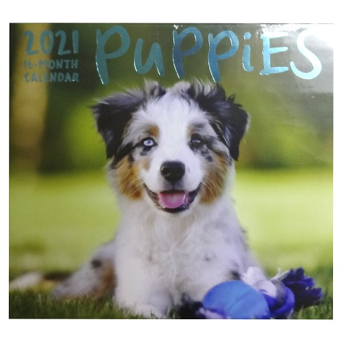 shelf bracket 4 x 6 black -- 12 per box